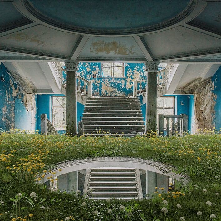 The Wild Within 'Hollow'