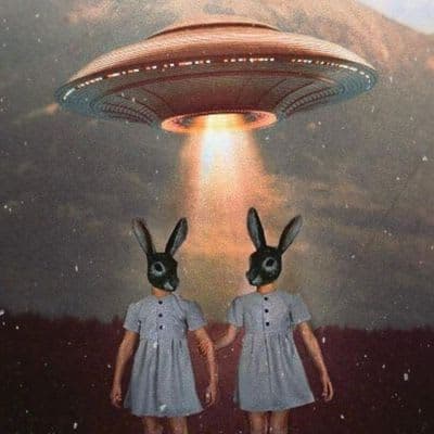 Arthemort Discovery of the Month #7 🤯