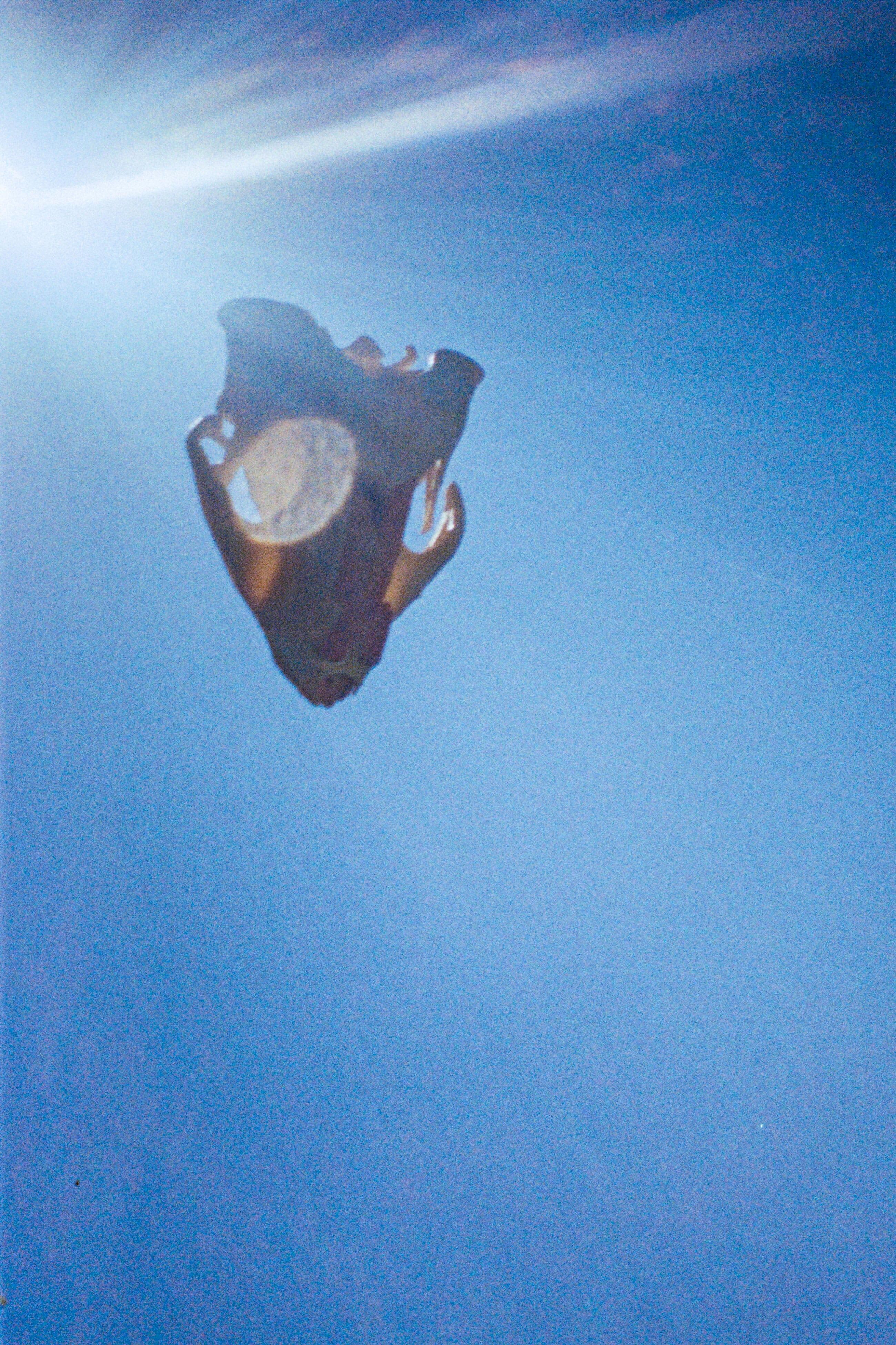 Unholy Skull Of God: Vanishing Of The Genuine